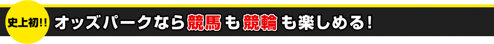 IbYp[NȂ狣nEւI