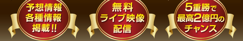 \zEefځIICufzM@5dōō2~̃`X
