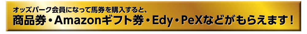 IbYp[NɂȂĔnwƁAiEAmazonMtgEEdyEPeXȂǂ炦܂I