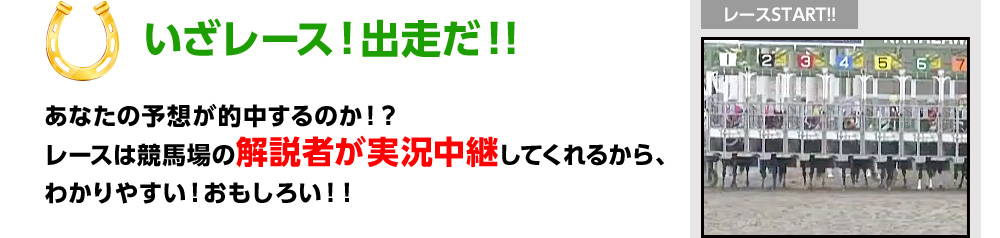 [XIoII