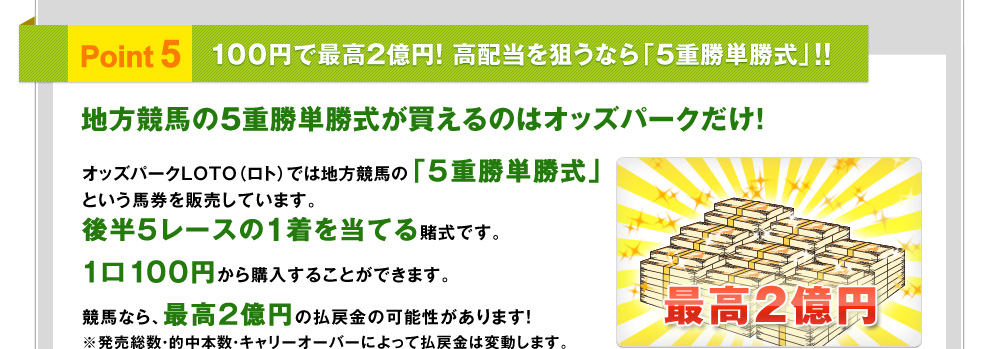 Point5 100~ōō6~Iz_Ȃu5dPvII