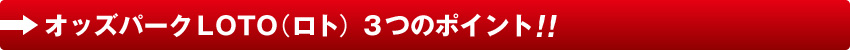 一口100円から簡単購入！くじ感覚でほぼ毎日楽しめる！