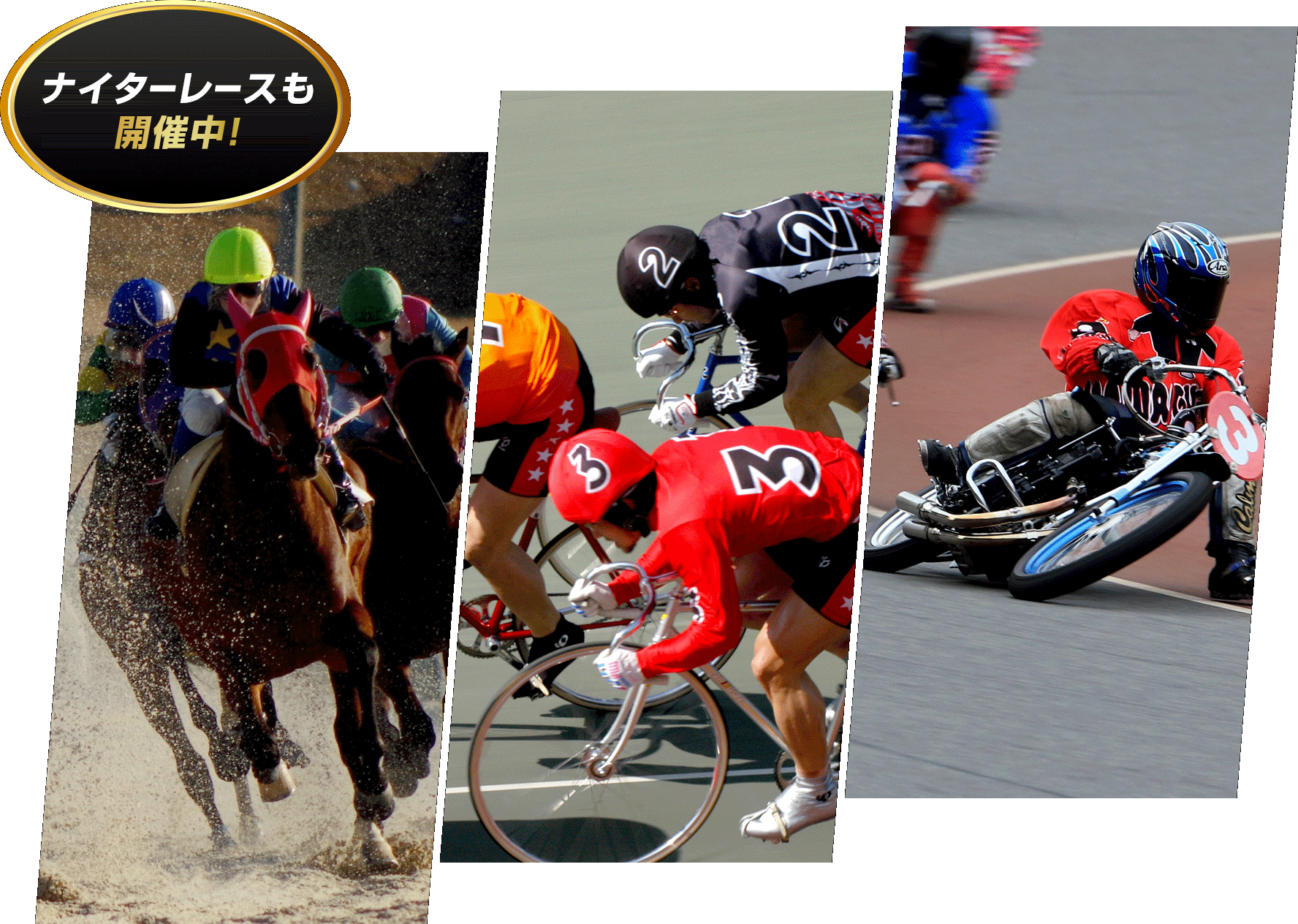 ナイターレースも開催中！