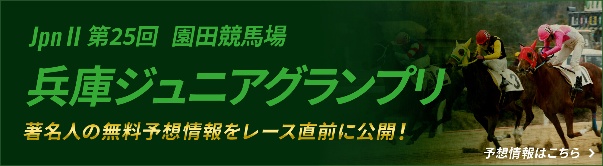 無料予測情報