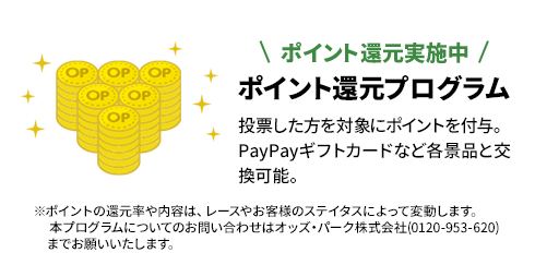 還元率UP中ポイント還元プログラム 投票した方を対象にポイントを付与｡PayPayギフトカードなど各景品と交換可能｡